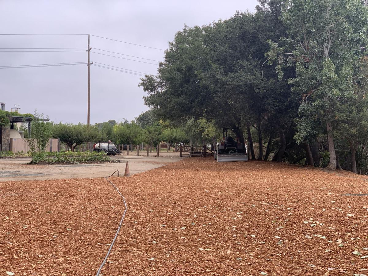 Oxford Yard in Napa