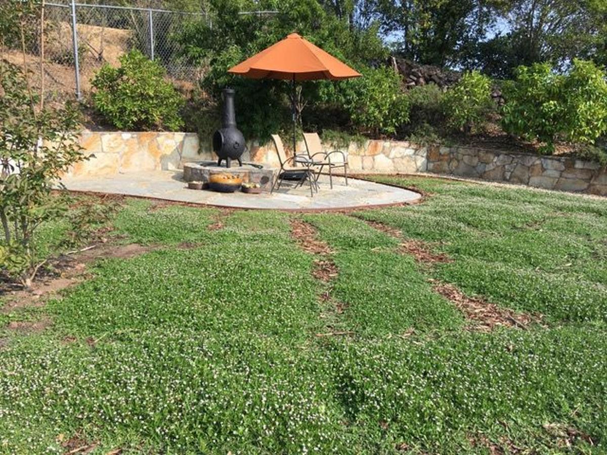 Dealing With The Drought I Am A Kurapia Convert Home And Garden Napavalleyregister Com