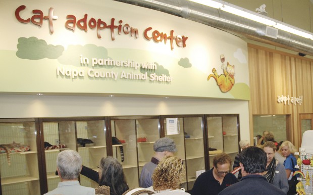 adoption centers nearby