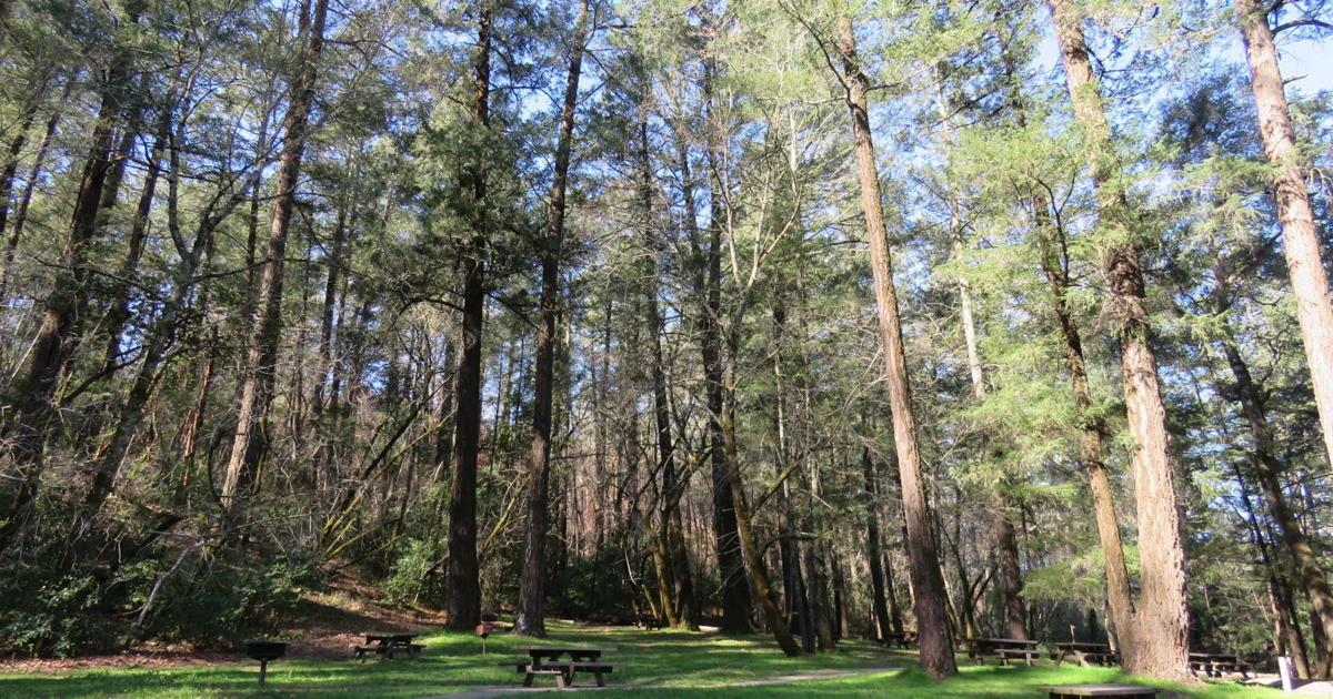 Veterans day meals for vets Veterans day meals for vets