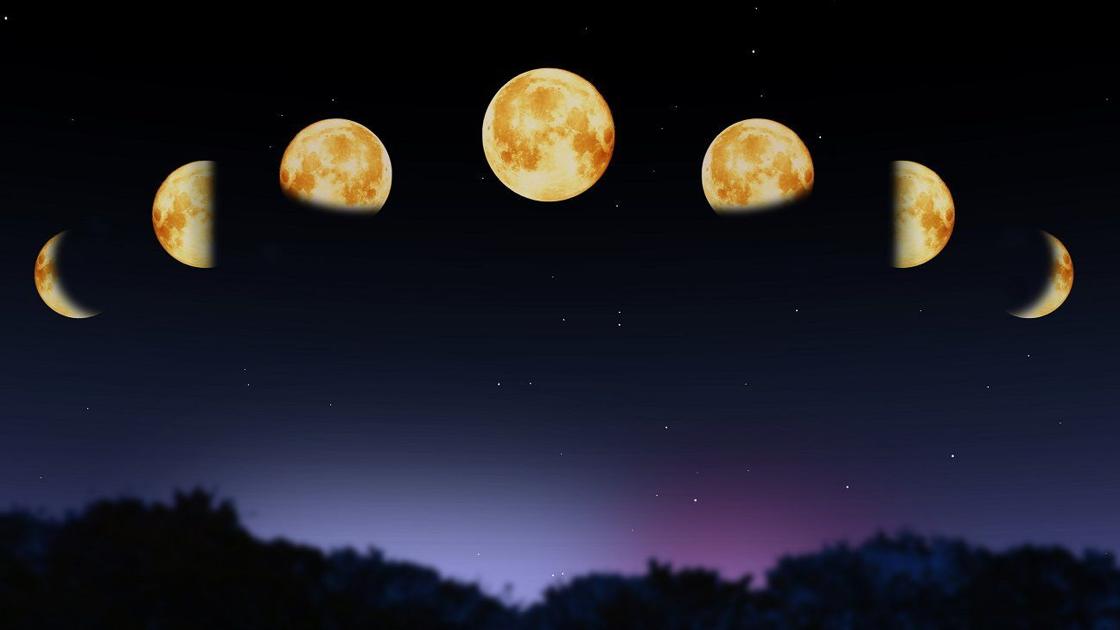 Moon section gardening: The holistic backyard of Napa’s Cindy Skinner | Residence and Backyard