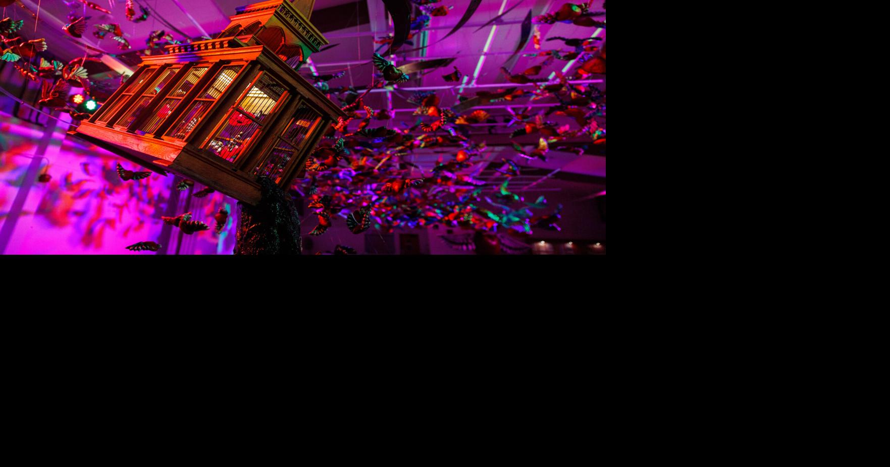 Napa Unbound: art installation made by patients, staff and volunteers ...
