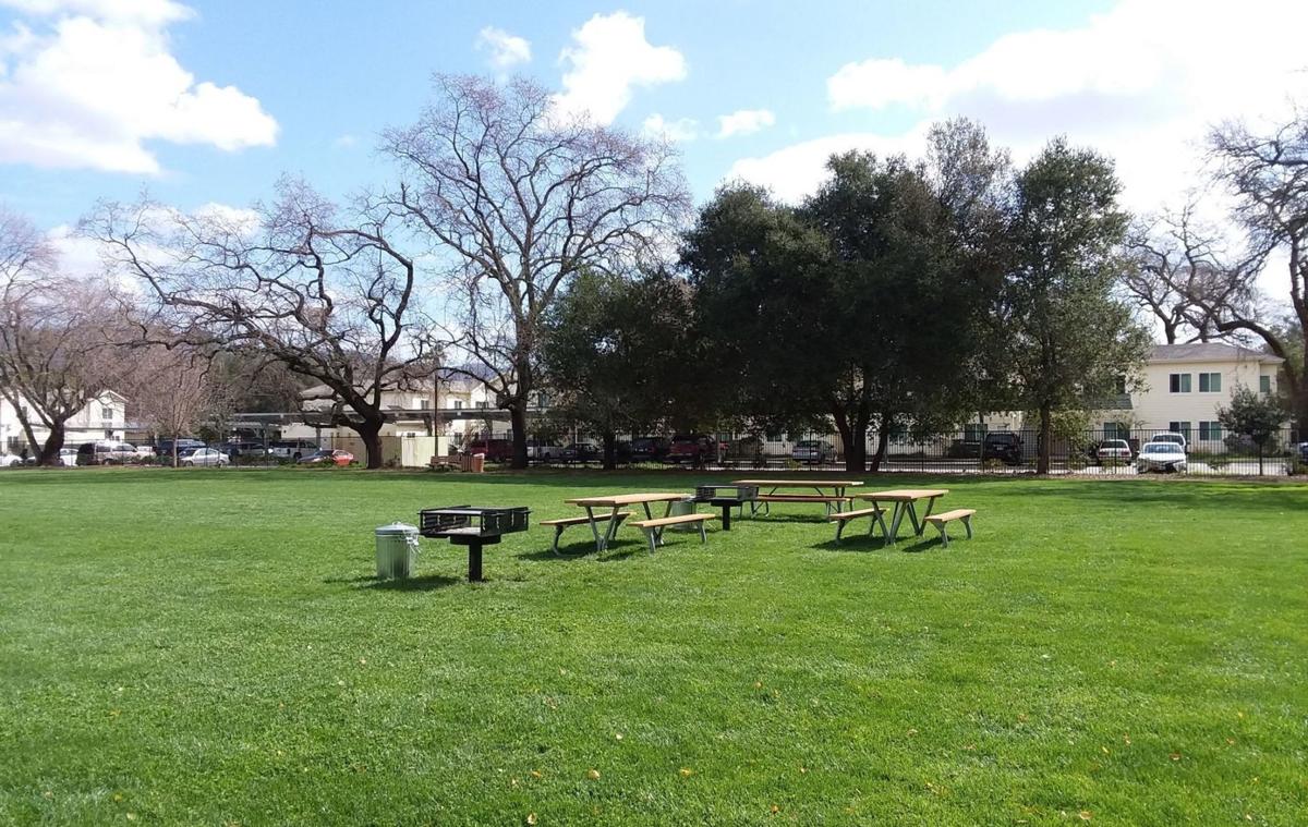 Logvy Park