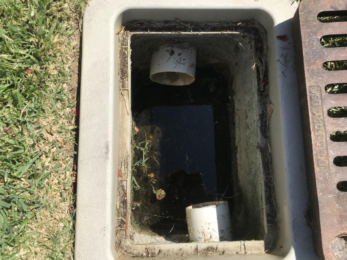 Mosquito abatement