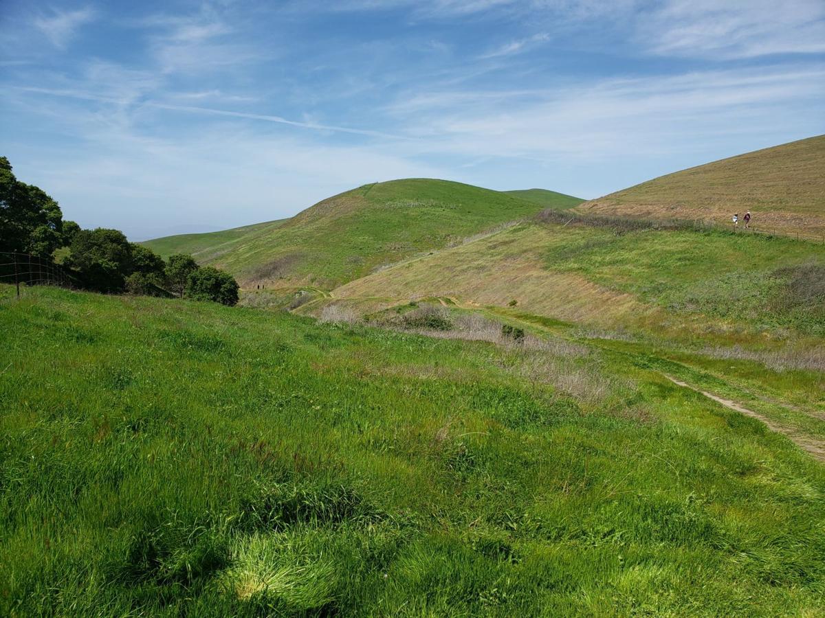 Happy Trails