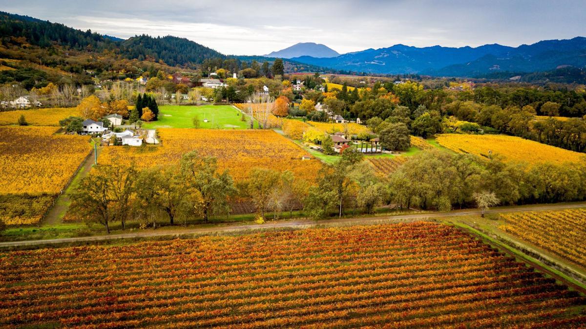 Napa Valley Food and Wine — 2017 in review Wine