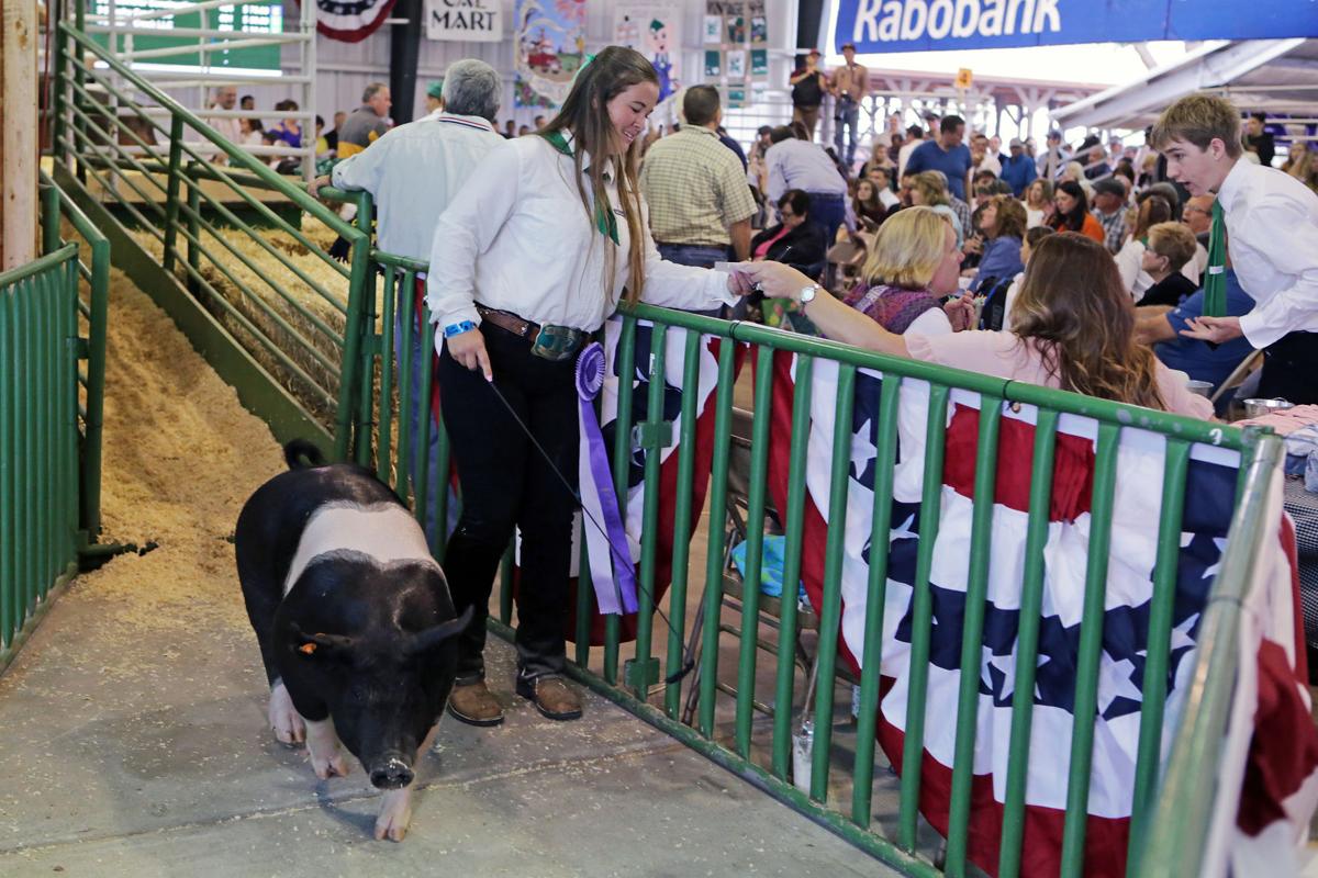 Junior Livestock Auction 2017