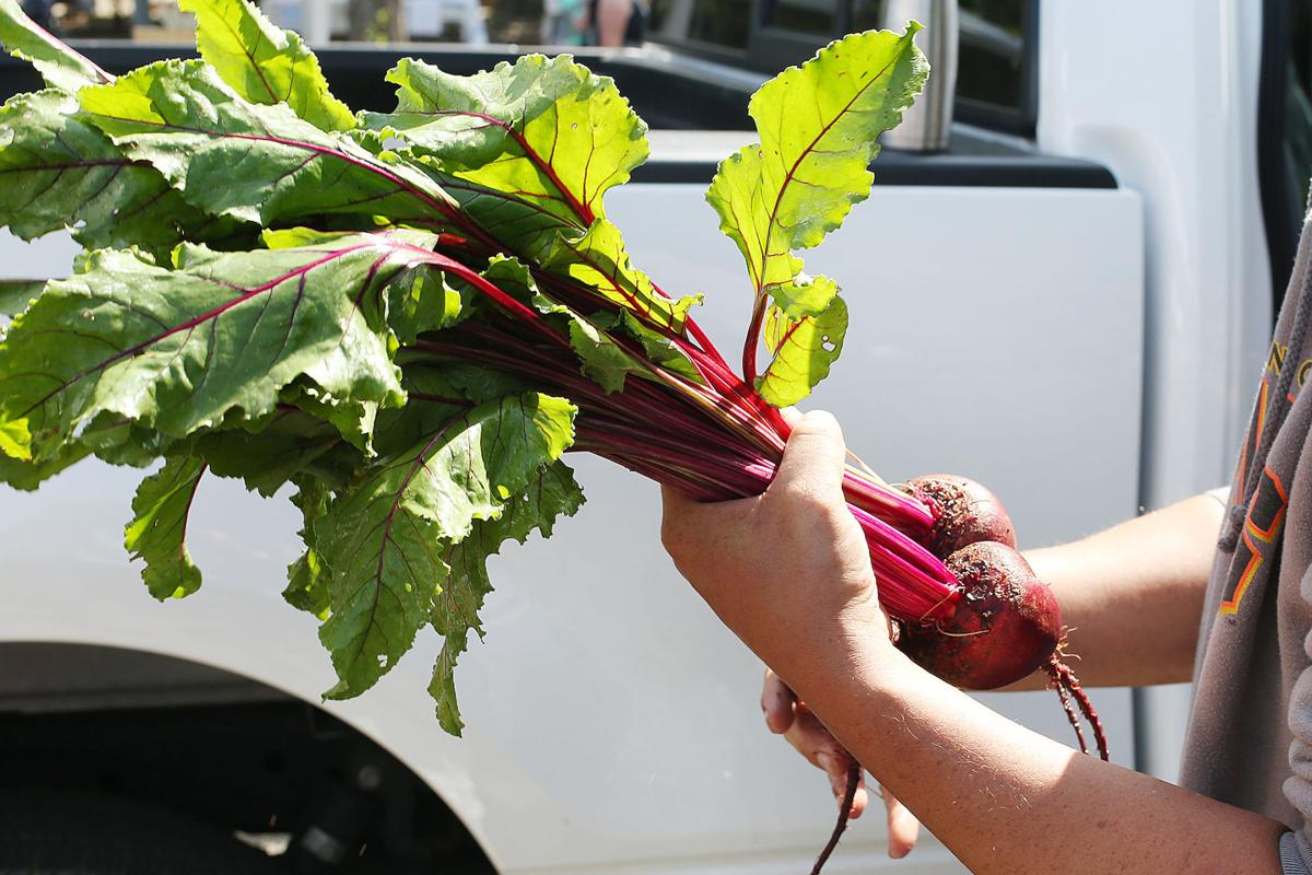 Opening Day At Farmers Market Local News Napavalleyregister Com Opening Day At Farmers Market Local News Napavalleyregister Com