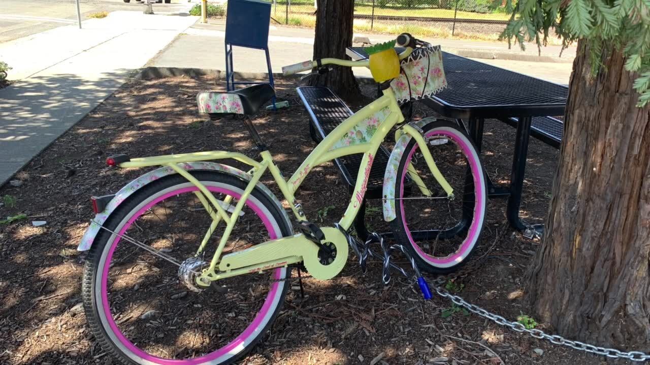 Jimmy buffett store margaritaville bike pineapple