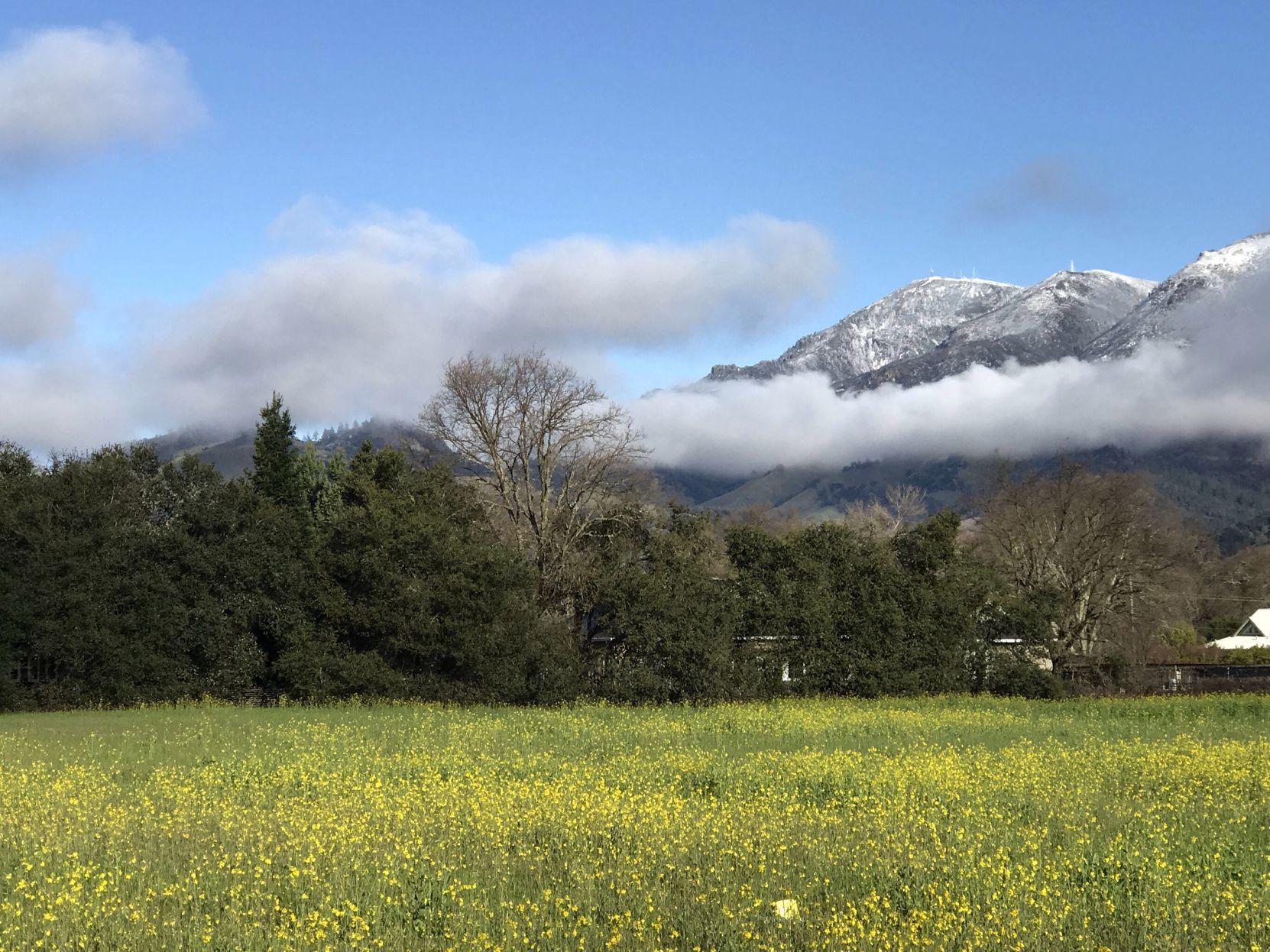 Photos Snow in Napa Valley Local News