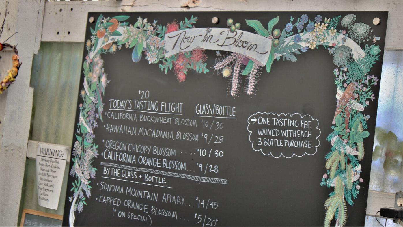 Napa Humane receives CDFA grant for spay-neuter program | News |  napavalleyregister.com