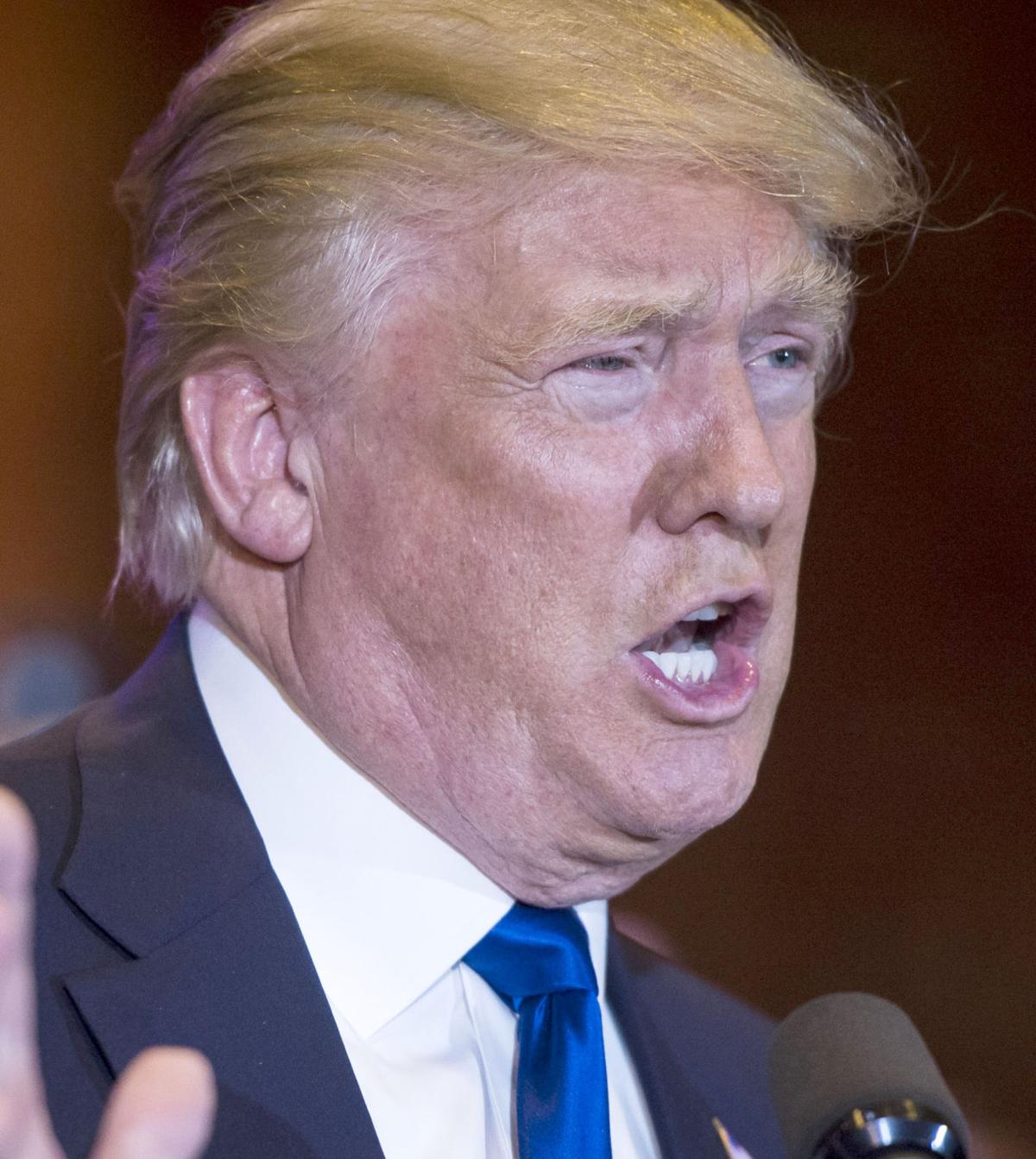 The 100 greatest descriptions of Donald Trump's hair ever written