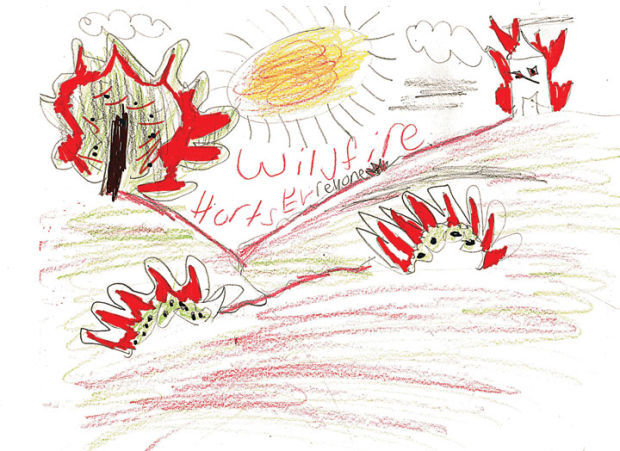 Firewise Drawing Planting a fire-wise and water-wise garden