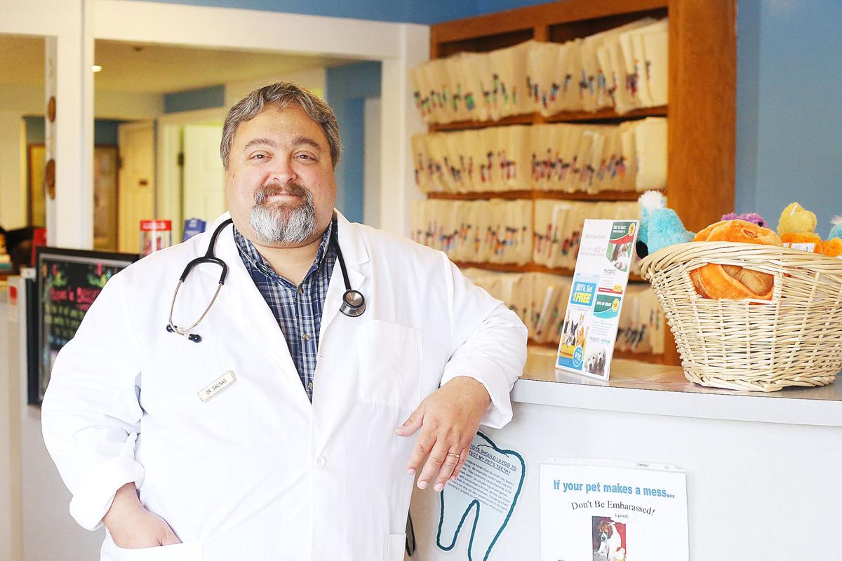 Comforting Pets And Their Owners At Alley Cat Small Animal