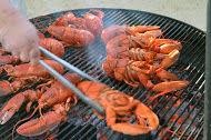 Lobster on the grill