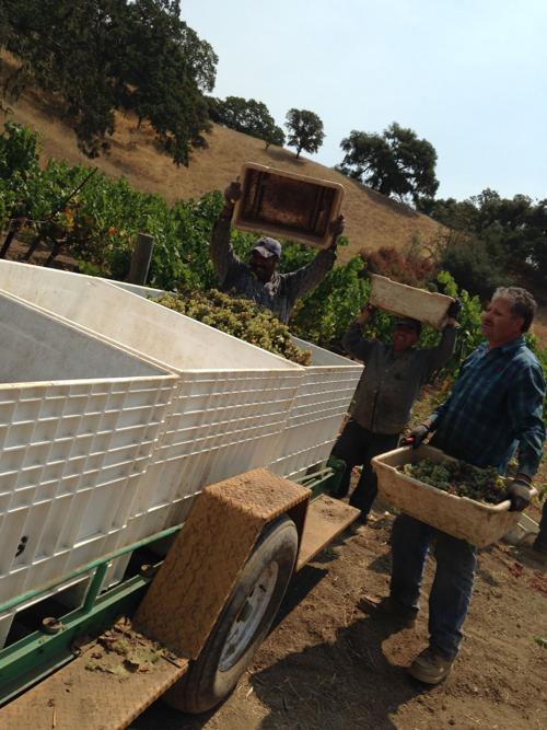 Harvest