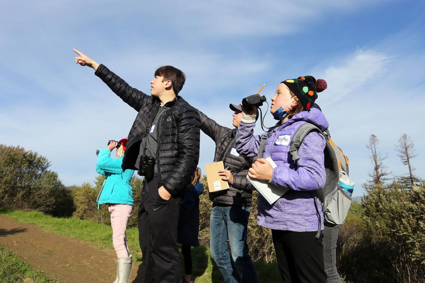 Master Gardeners: Flowers for a winter garden | Home & Gardening |  napavalleyregister.com