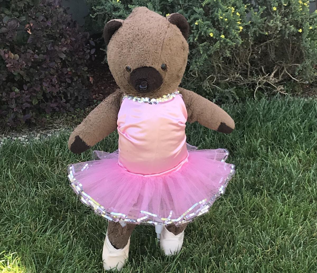 Napa Man Takes Teddy Bear Hunt To New Heights Local News Napavalleyregister Com