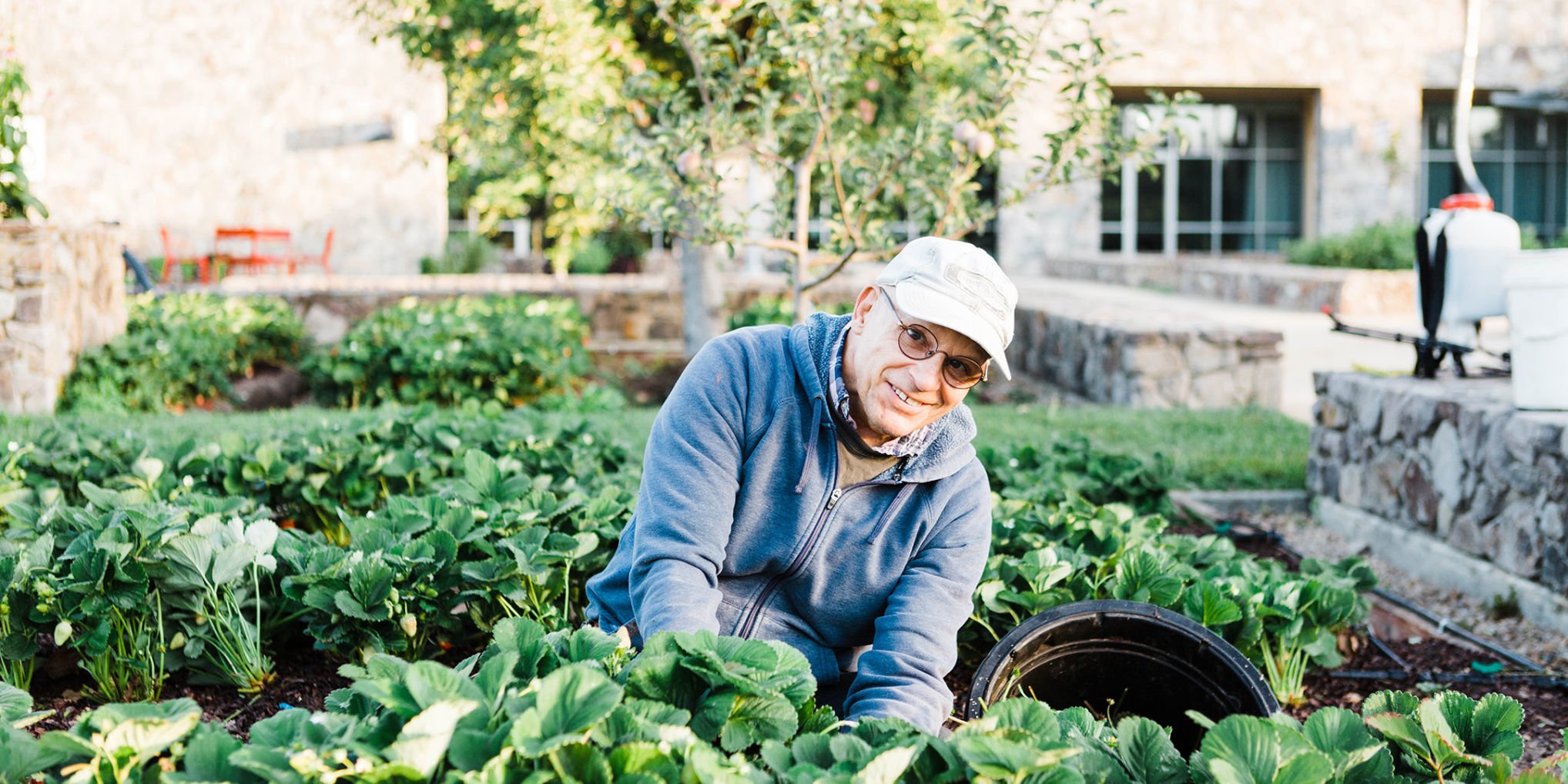 home and gardening