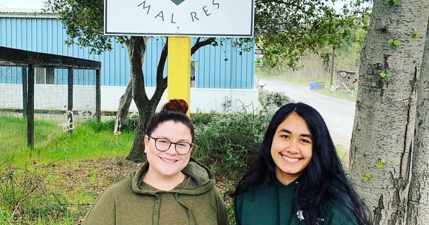 Teen artist Sophie Rai donates to St. Helena's We Care Animal Rescue