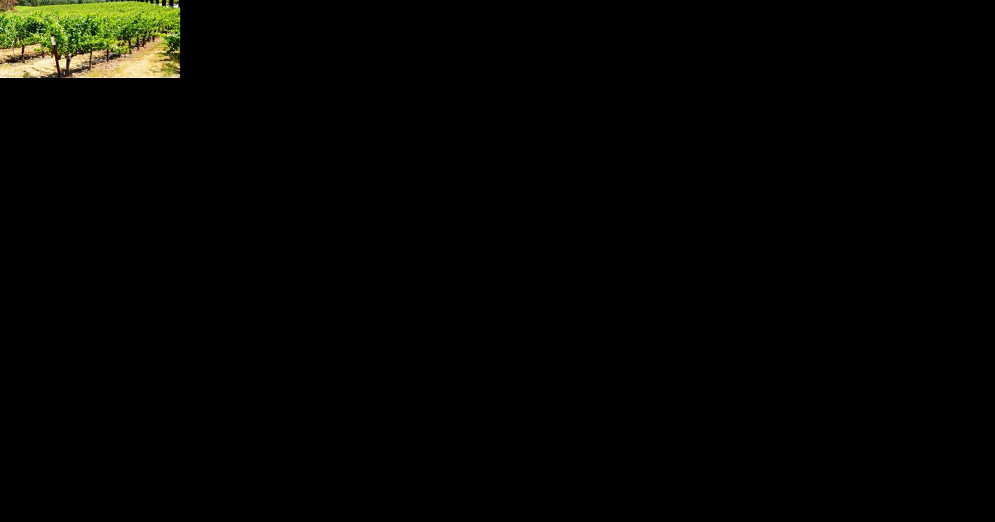 Community calendar: Things to do in Napa Valley - Vimarsana News