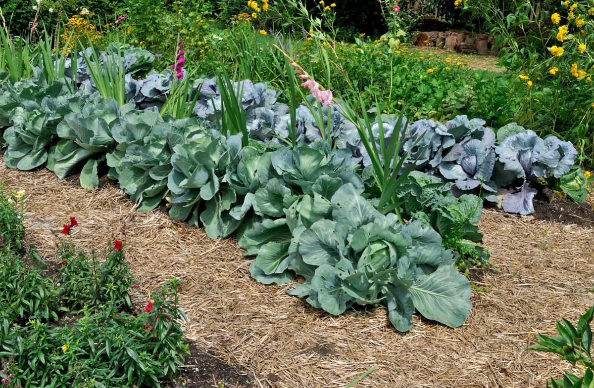 Gardens
