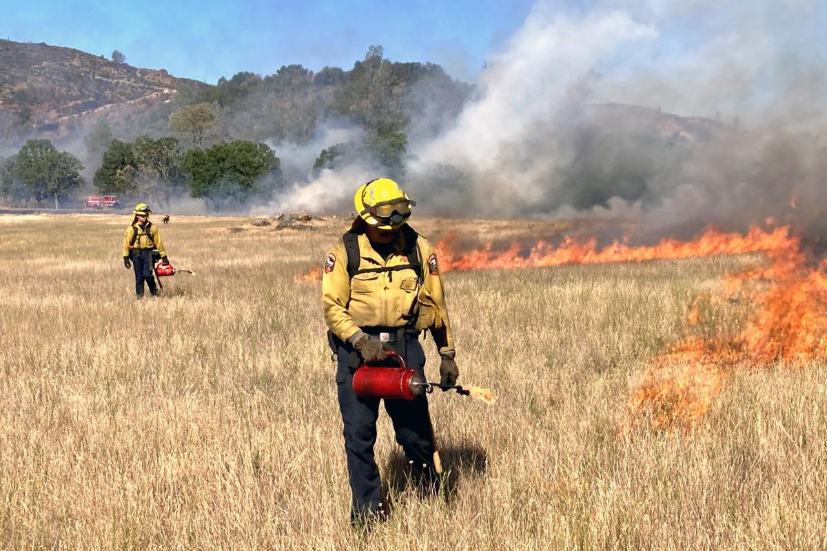 Napa Land Trust prescribed burn