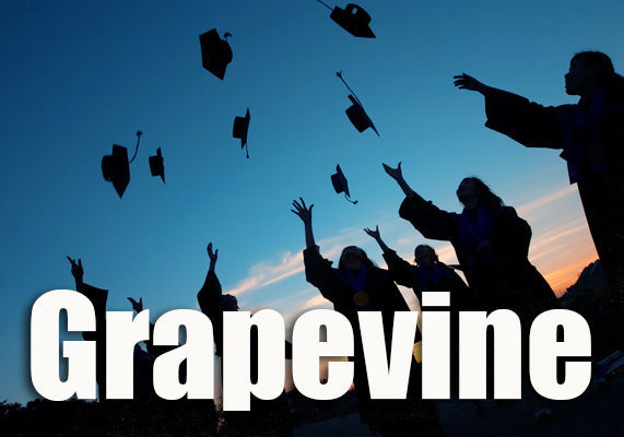 nvr-stockart-grapevine4