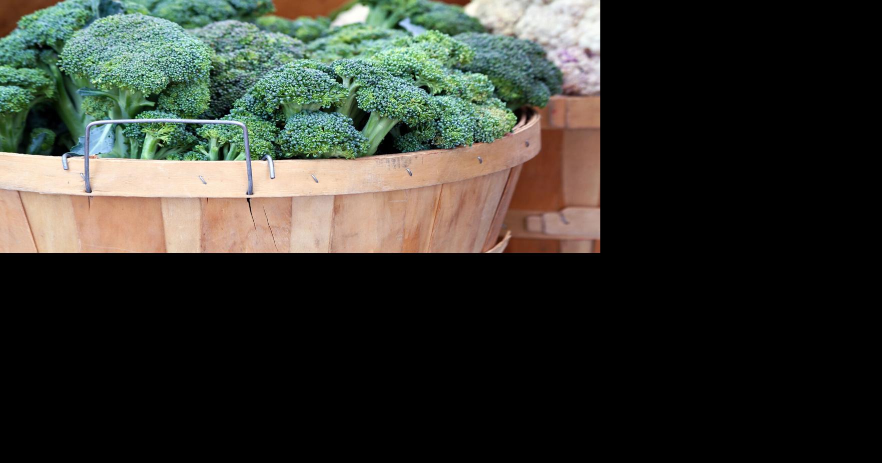 Napa County Master Gardeners: The broccoli trials | News ...
