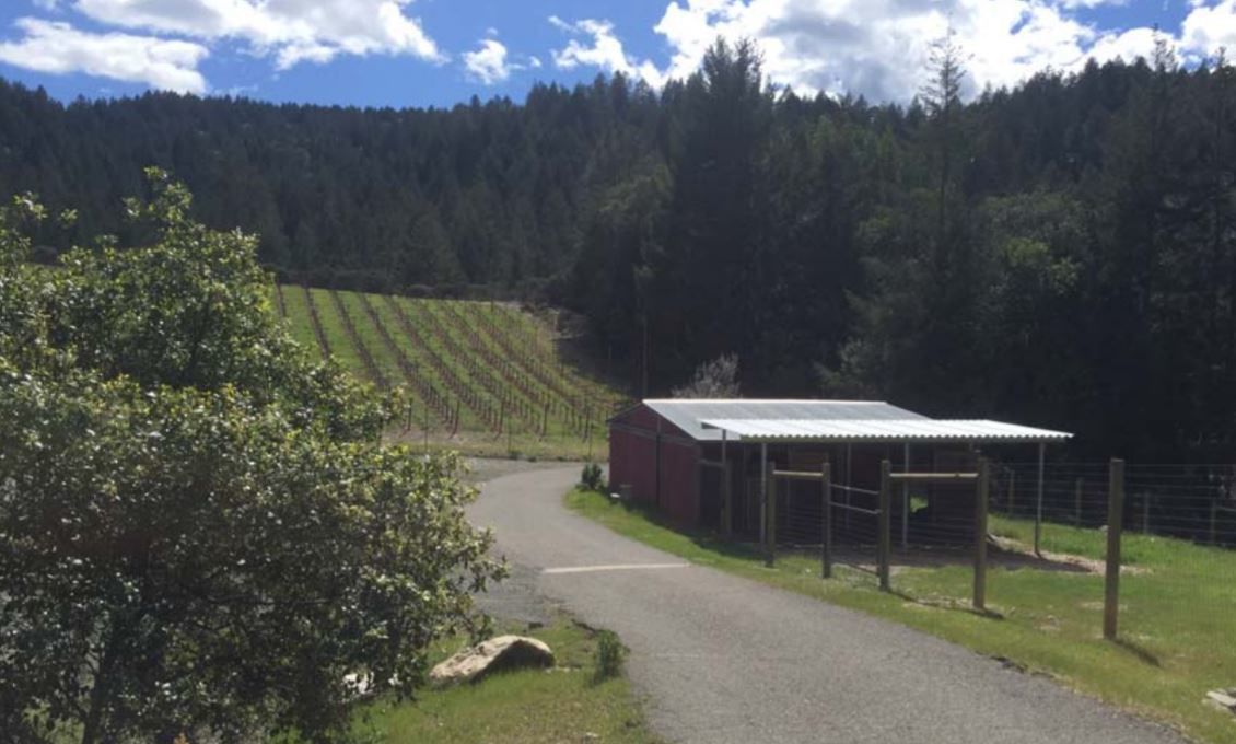 Hard Six Cellars appeal