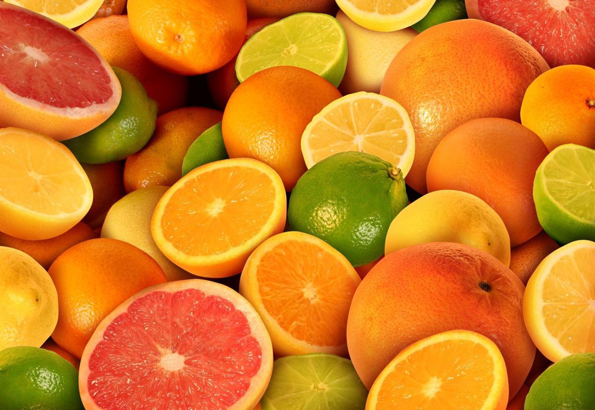Diane De Filipi Italian Lessons Citrus A Sure Cure For Winter