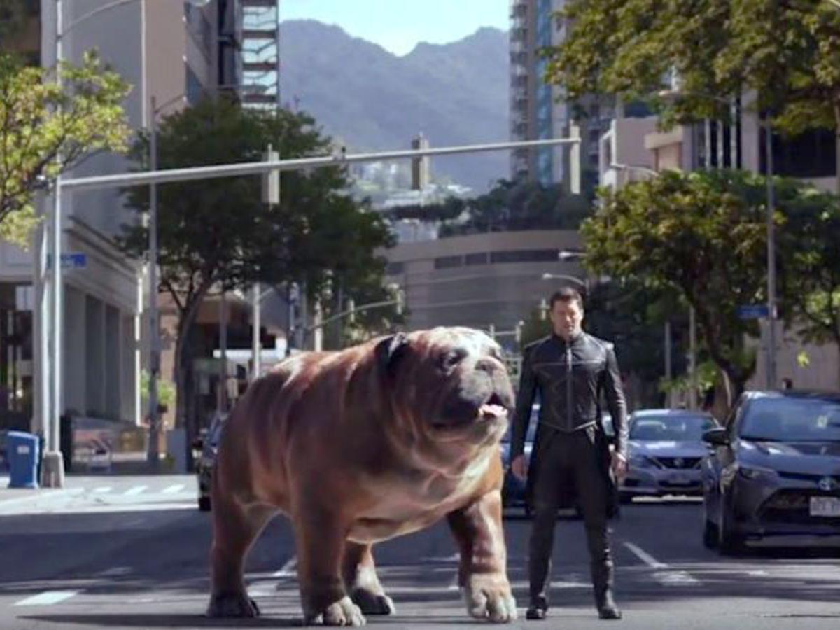  The irregular presence of Lockjaw in MCU’s Inhumans adaptation - making it a controversy. 