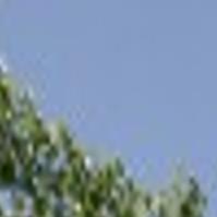 Postal Service Master Key Lost In Napa Local News Napavalleyregister Com