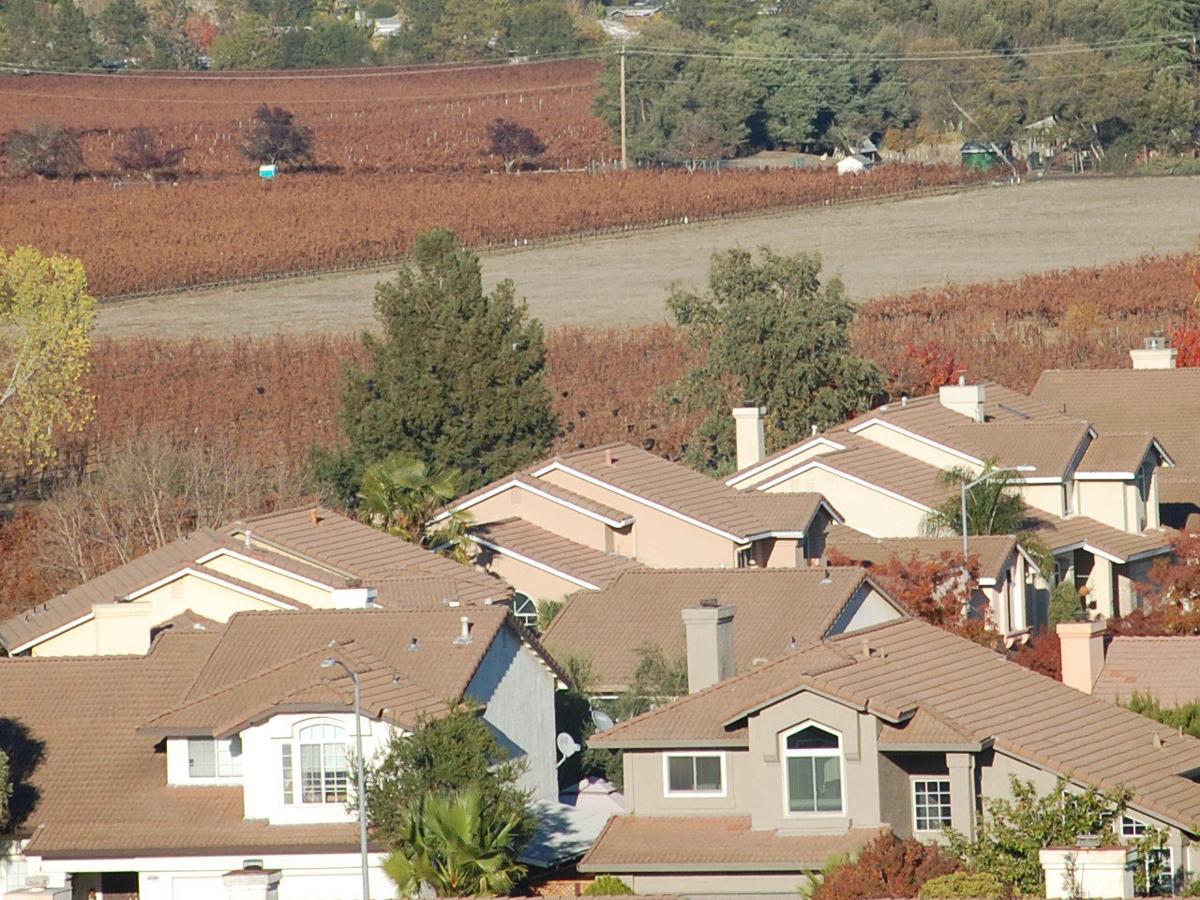 Napa farmland