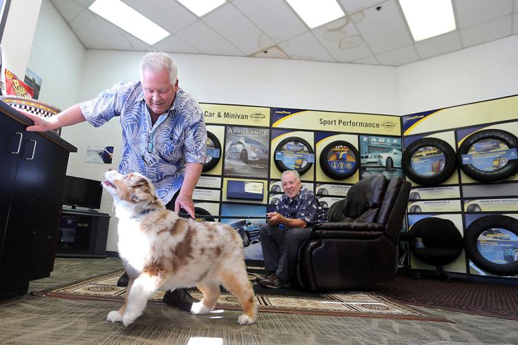 Napa Tire business Where the rubber meets the road