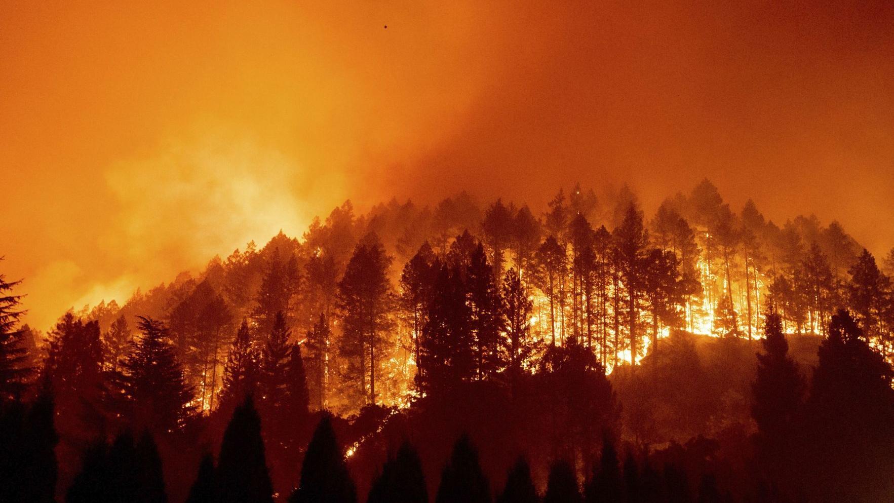 Napa County faces a burning problem - Vimarsana News