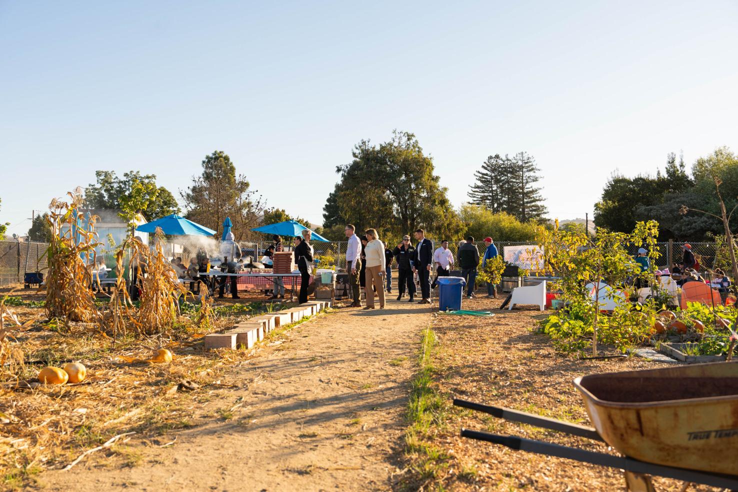 Photos American Canyon school celebrates Farm to School Month