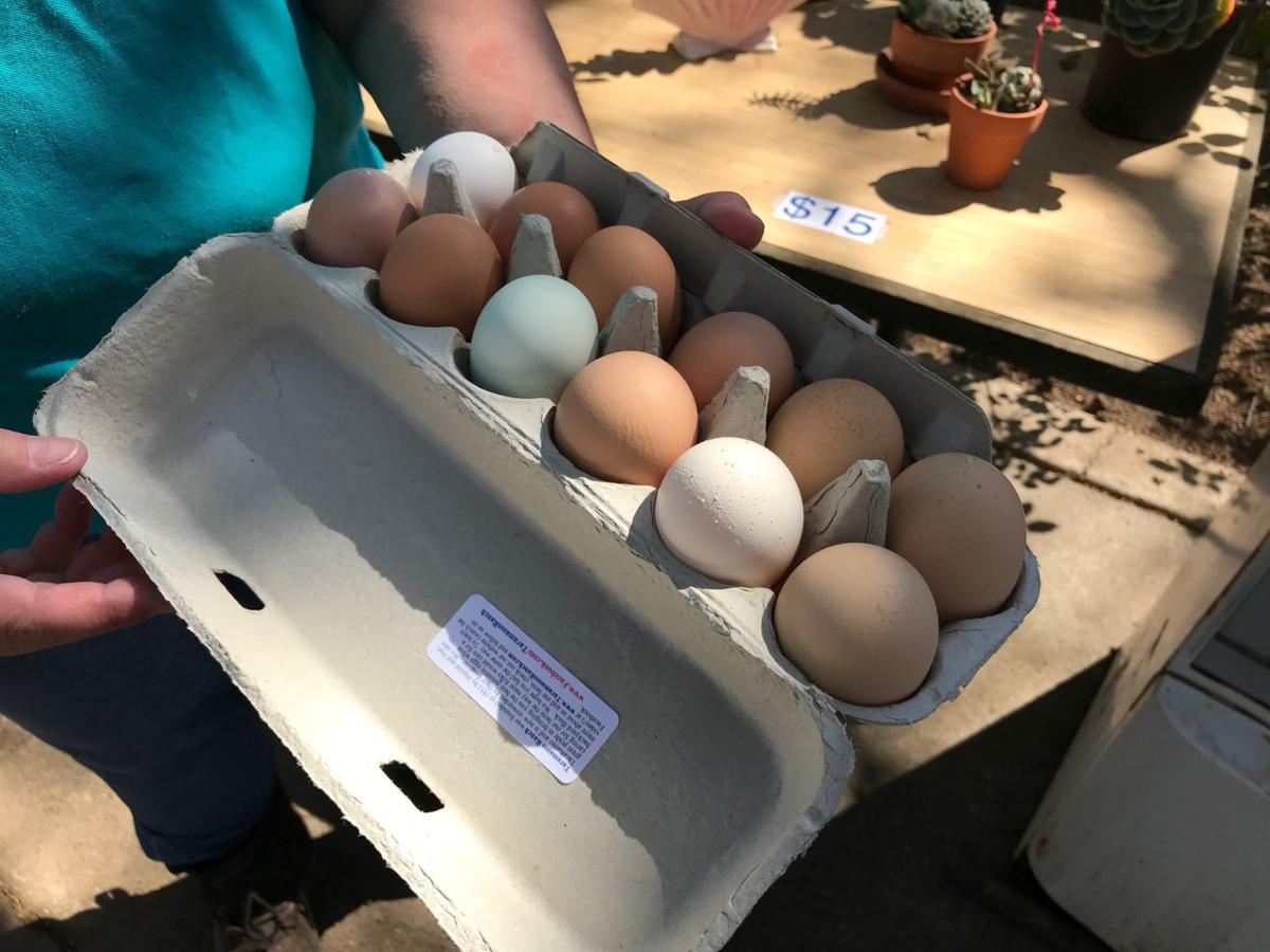 Napans Turn To Local Farmers For Their Egg Fix Local News Napavalleyregister Com