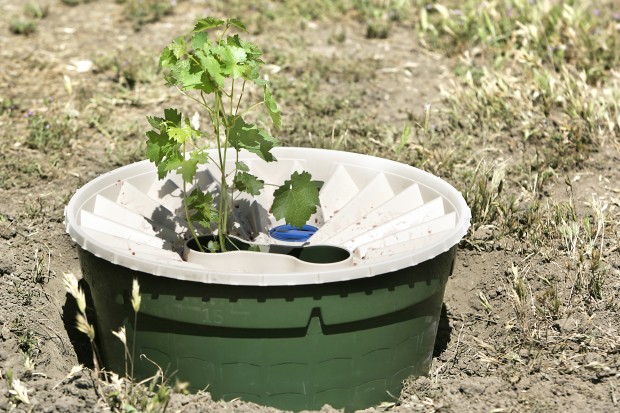 Pieter Hoff, Inventor of the Waterboxx