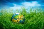 Join the first annual Calistoga Clean-up Day April 23