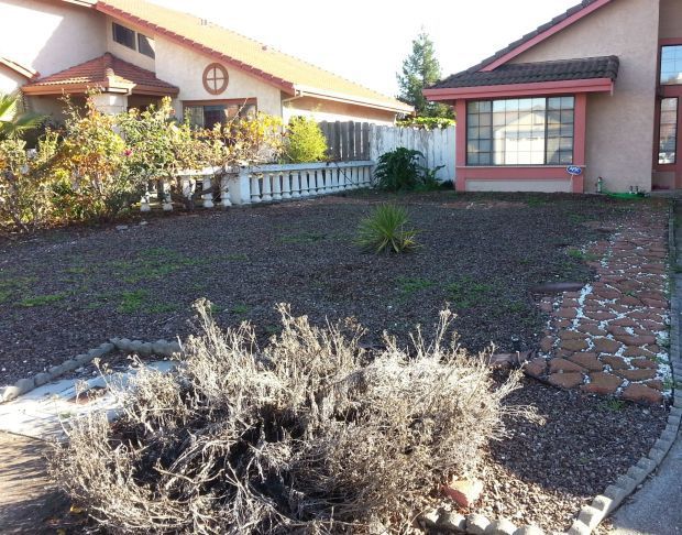 No lawns house (copy)