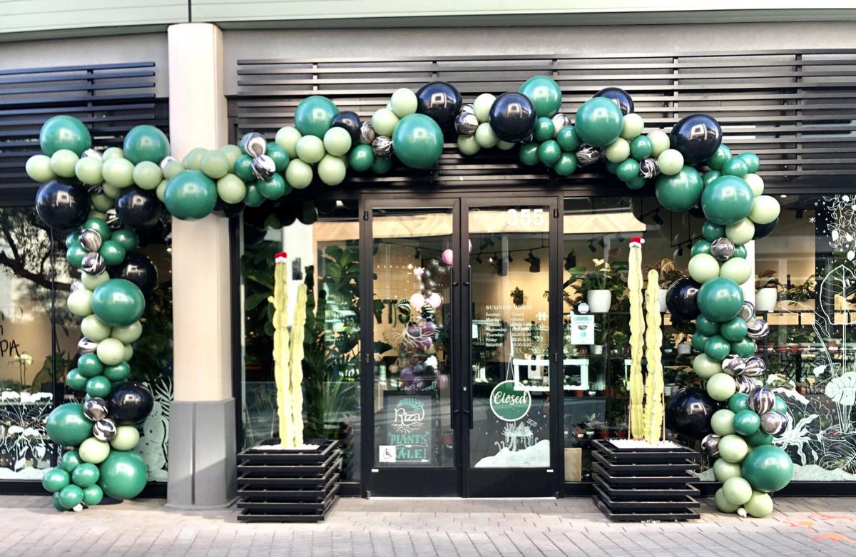 Balloon Girl Napa arches