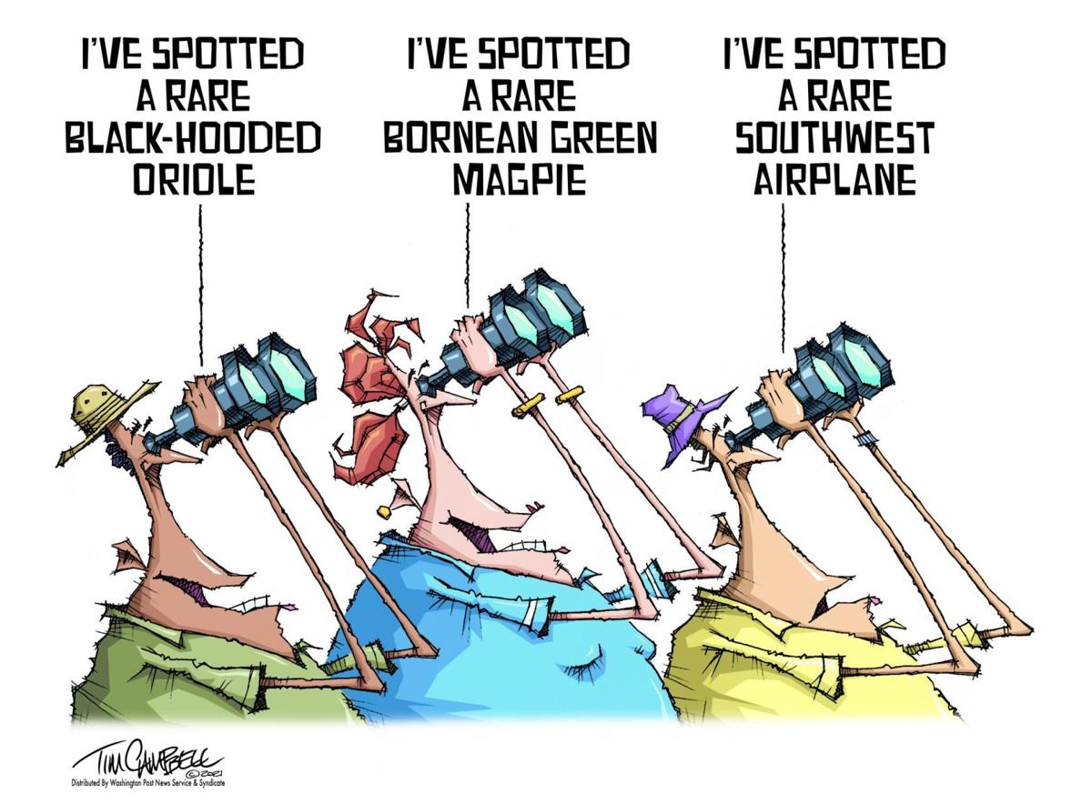 Tim Campbell editorial cartoon