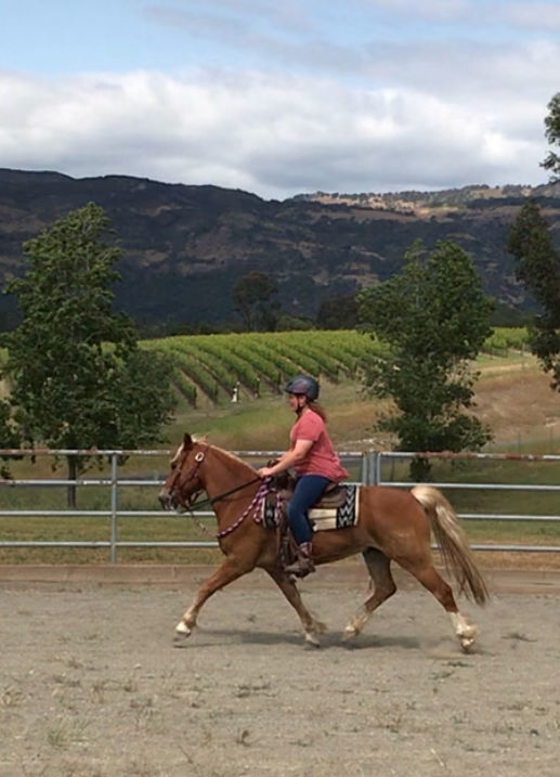 Horse riding A look at Napa County’s best trails to explore in the