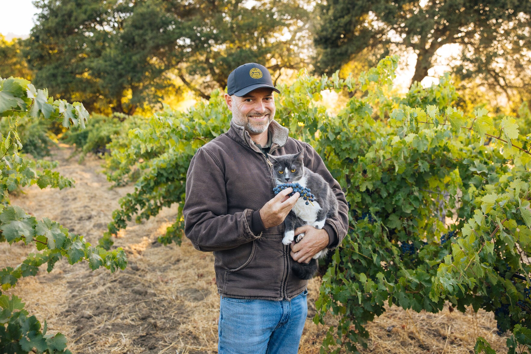 napavalleyregister.com - Meet Napa Valley's wine cat men and support Jameson Humane