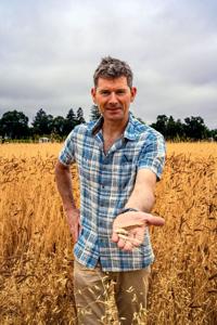 Napa Valley’s Heirloom Grain Harvest 2021