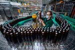 Why beer bottles are usually brown glass