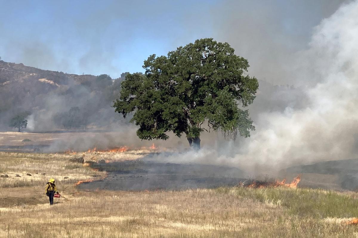 Land Trust prescribed burn