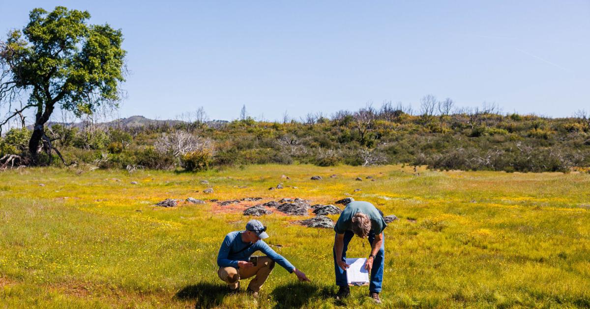 Napa's Land Trust has a diverse world, from a mine to waterfalls to frogs