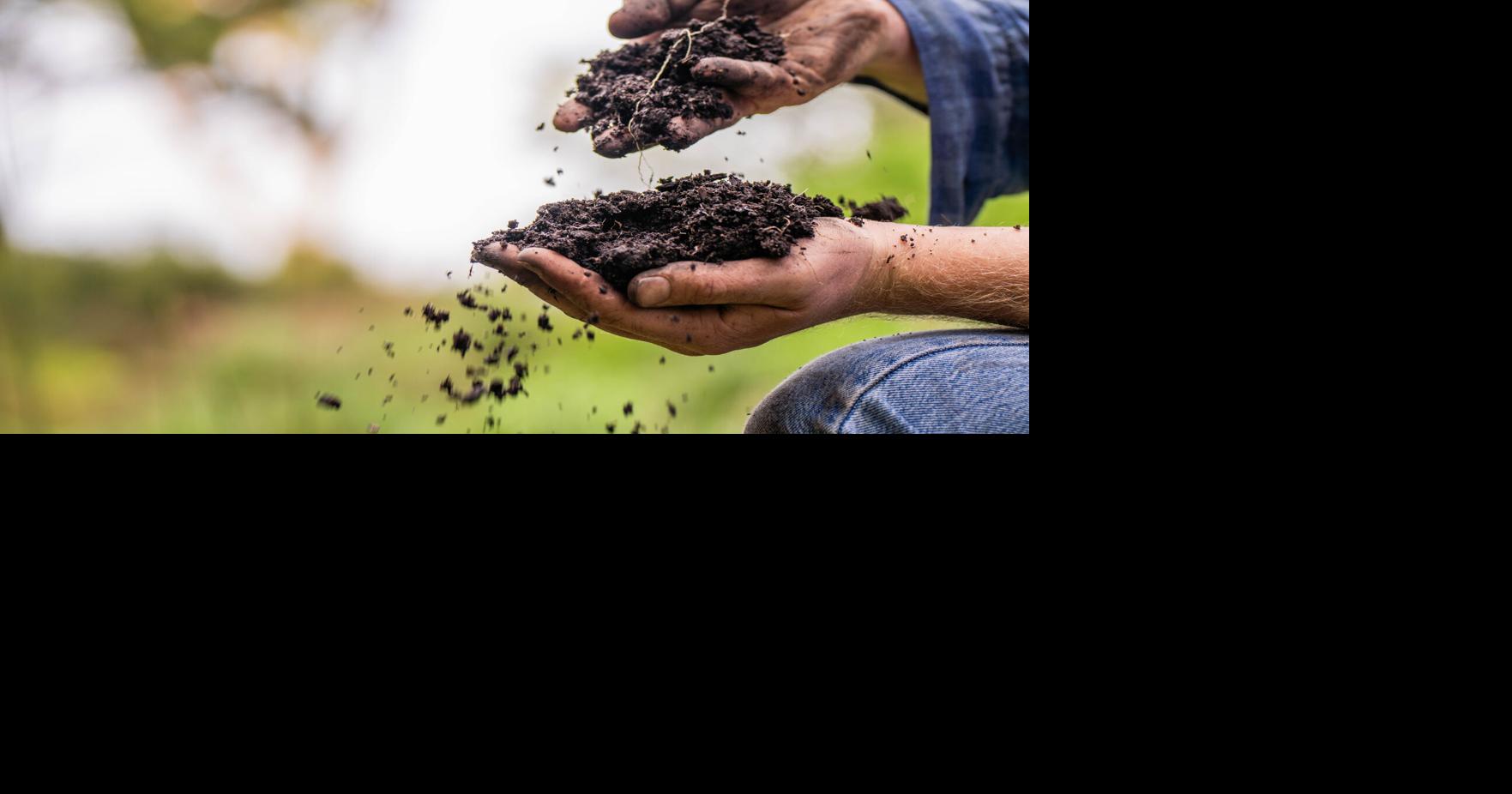 Napa County Master Gardeners: A look at microorganisms